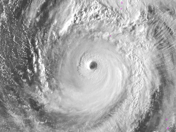 Число погибших от тайфуна «Хагибис» выросло до 44 человек