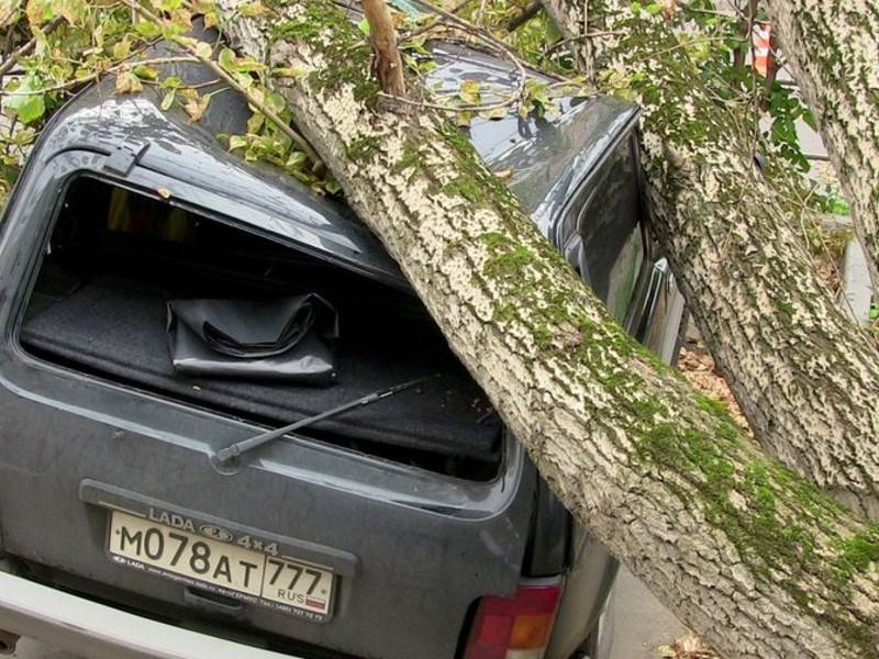 Москвичей предостерегли от парковки авто в опасных местах из-за ветра