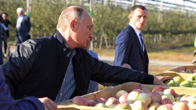 Путин подчеркнул важность сельского хозяйства для России
