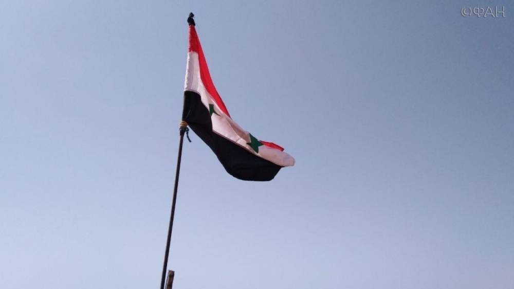 Жители Ракки с флагами приветствуют сирийскую армию