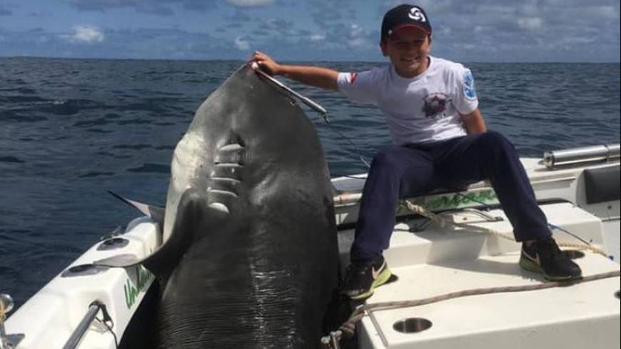 Восьмилетний австралиец поймал на удочку акулу весом в 300 килограммов