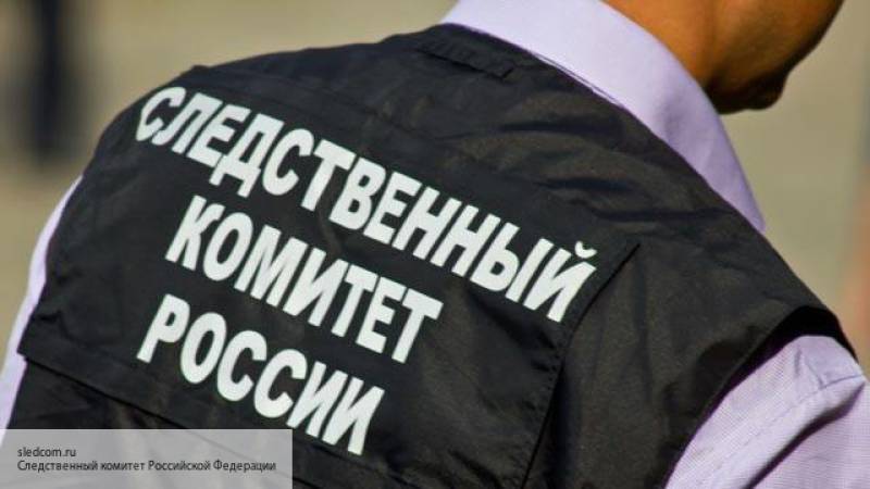 Задержаны еще четверо участников массовых беспорядков 27 июля в Москве – СК РФ