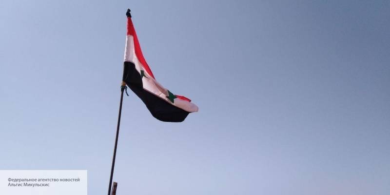 Жители Ракки с флагами приветствуют продвижение сирийской армии на север страны