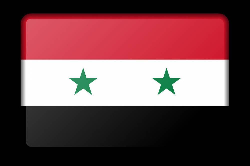 Войска Асада отправились на север Сирии противостоять турецкой операции