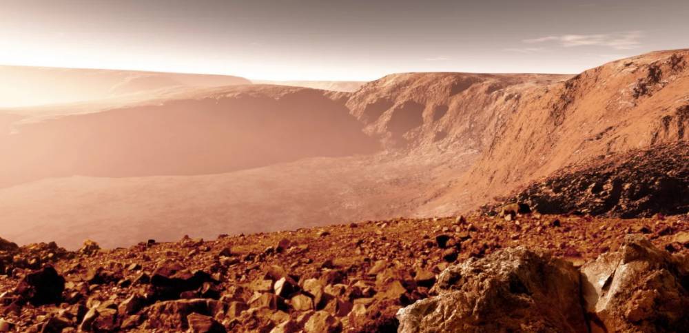 Экс-ученый NASA заявил о найденной почти полвека назад жизни на Марсе