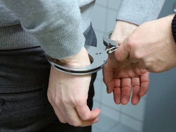 Полиция задержала еще одного фигуранта «московского дела»