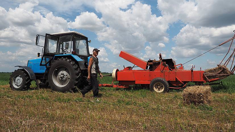 Крымские аграрии получили господдержку в размере 12 млрд рублей с 2014 года