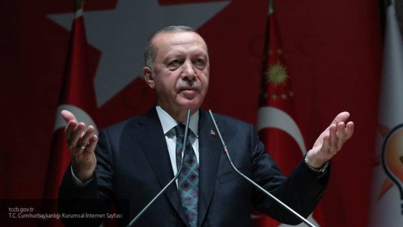 Эрдоган анонсировал создание на севере Сирии зоны безопасности  для беженцев