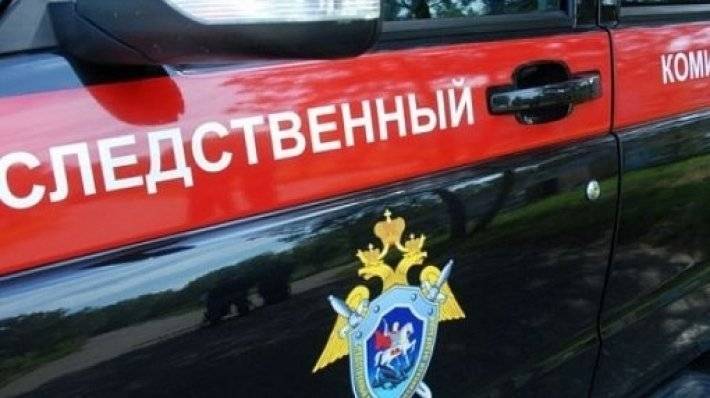 СК предъявил обвинение участнику акции 27 июля Емельянову в нападении на бойца ОМОН