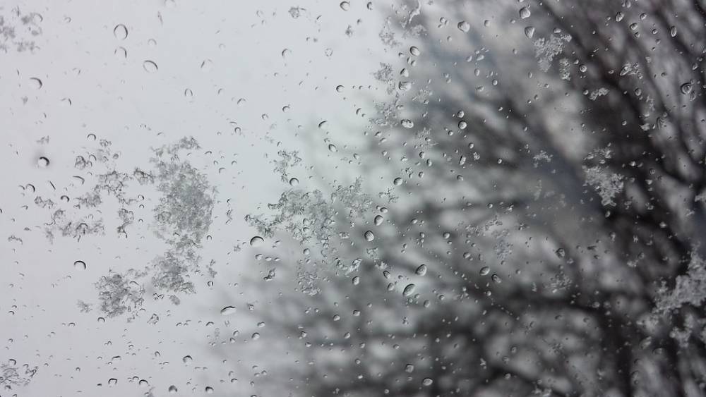 16 октября жителей Ленобласти ожидают утренние дожди и мокрый снег