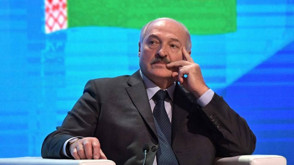 Россияне похвалили Лукашенко за защиту незаконно преследуемой США россиянки Богачевой
