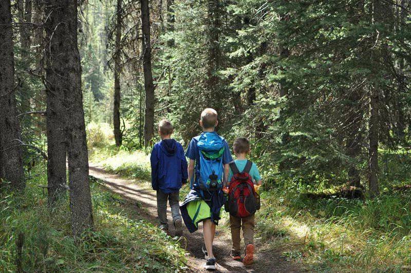 В российской глубинке дети ходили в школу через лес с волками и дикими кабанами