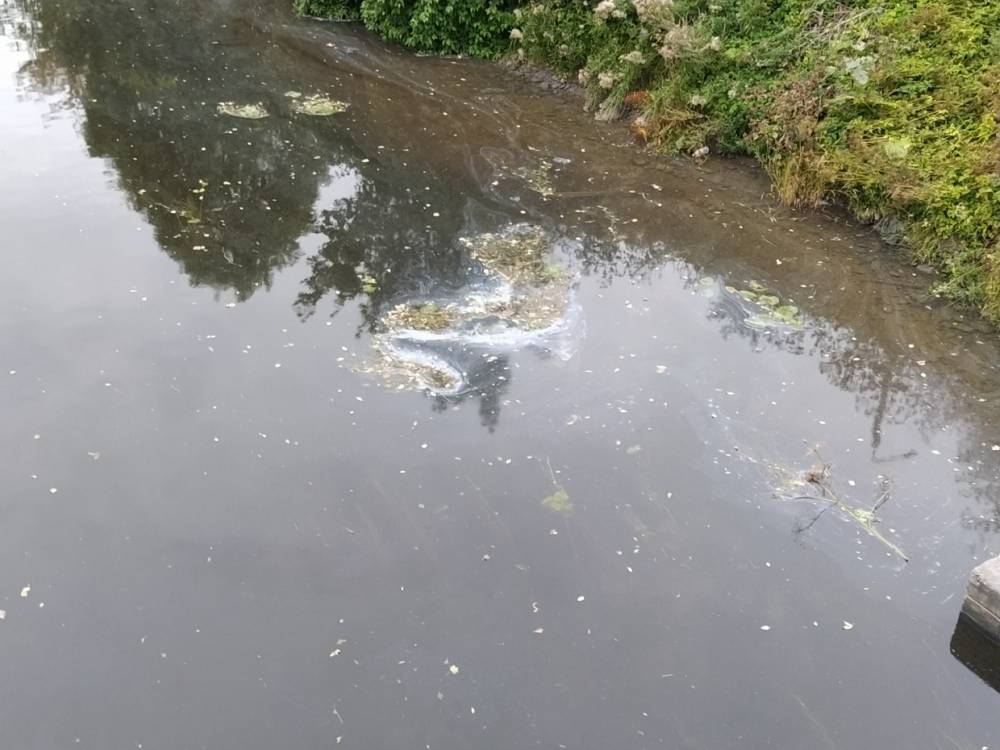 Росгидромет признал петербургскую реку Каменку экстремально загрязненной