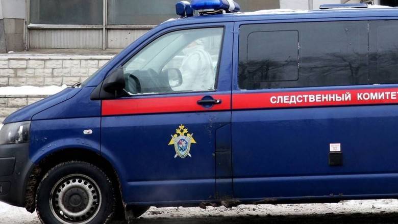 Дело сбитого полицейским мальчика в Кировской области передано в "особый" отдел СК