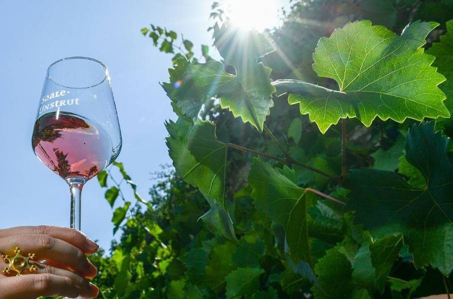 Специалисты дали совет, как выбрать розовое вино