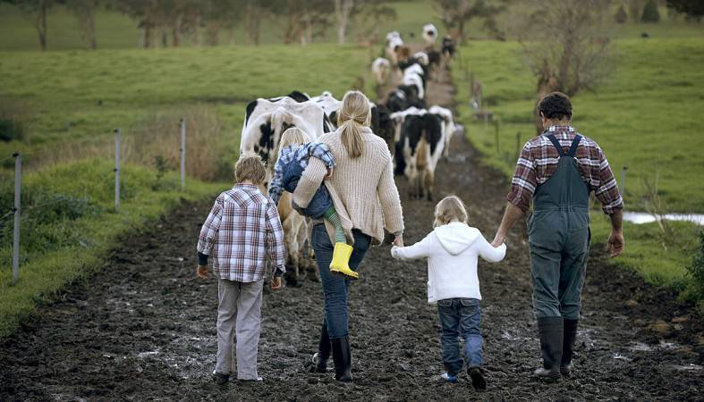 Жителям Карелии предлагают субсидии на развитие семейных ферм