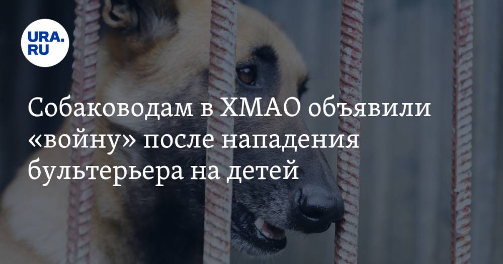 Собаководам в ХМАО объявили «войну» после нападения бультерьера на детей