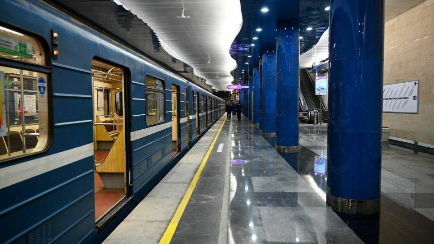 Петербуржцам объяснили, почему не могут переименовать станцию «Шушары»