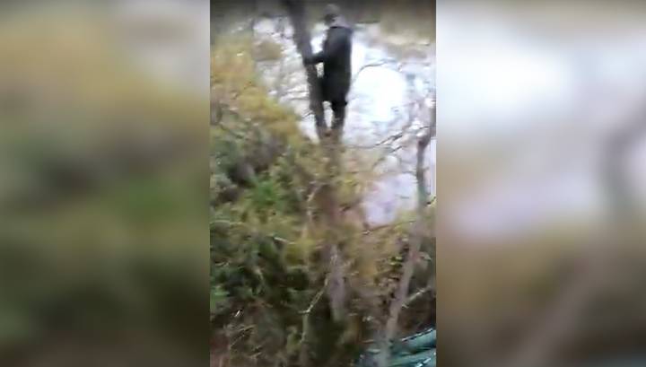 Медведь загнал рыболовов на деревья, ограбил их и попал на видео
