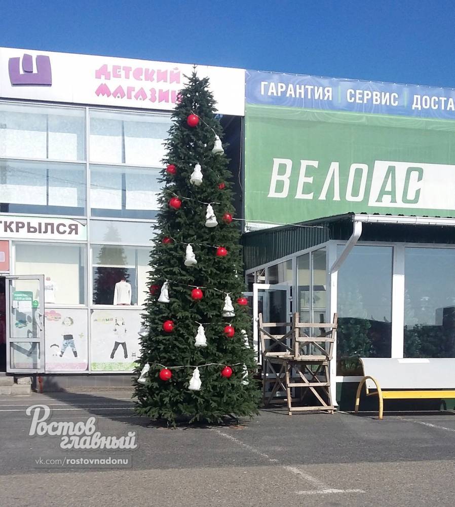 Жителей Ростова-на-Дону порадовали новогодними елками в +23