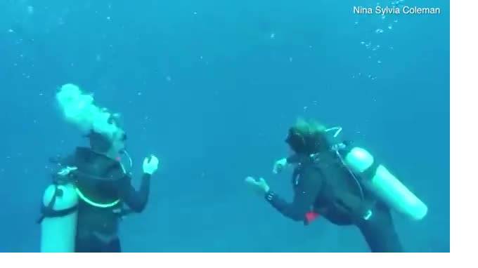 Видео: студентка встретила на Бали пятиметровую акулу-людоеда