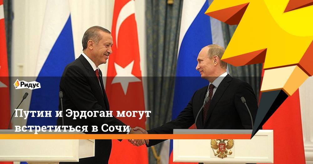Путин и Эрдоган могут встретиться в Сочи