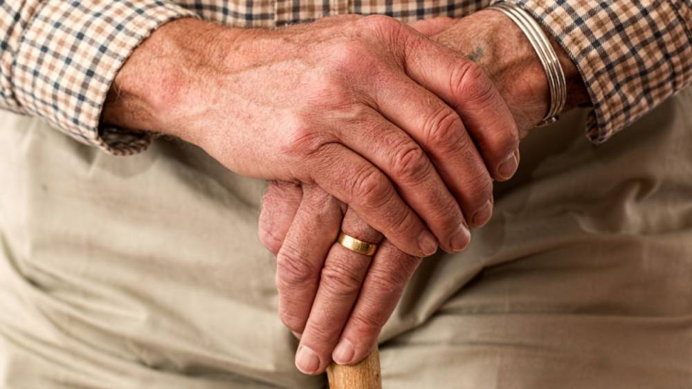 В ЗакСе рассмотрят предложение принимать пожилых людей в органах власти без очереди