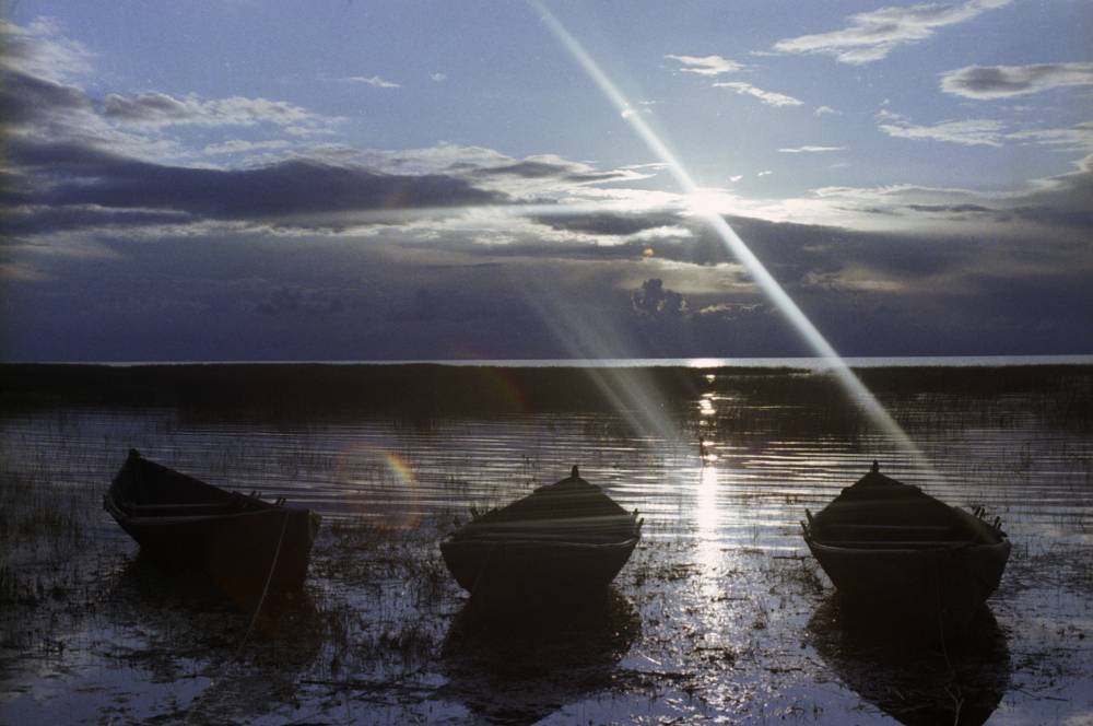 Экологи предрекли Чудскому озеру исчезновение через 30 лет