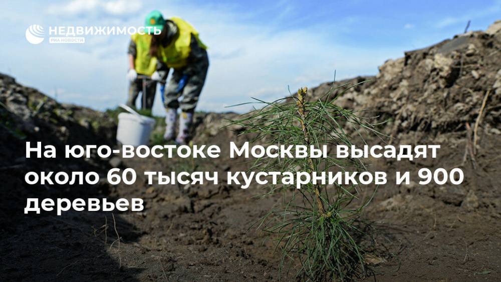 На юго-востоке Москвы высадят около 60 тысяч кустарников и 900 деревьев