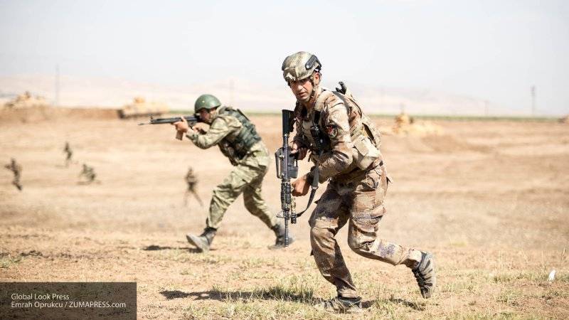 Эксперты назвали причины борьбы Турции с курдами-террористами в Сирии