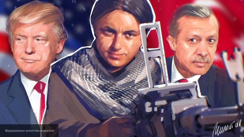Долгов объяснил, почему США мешают борьбе Турции с курдами-радикалами