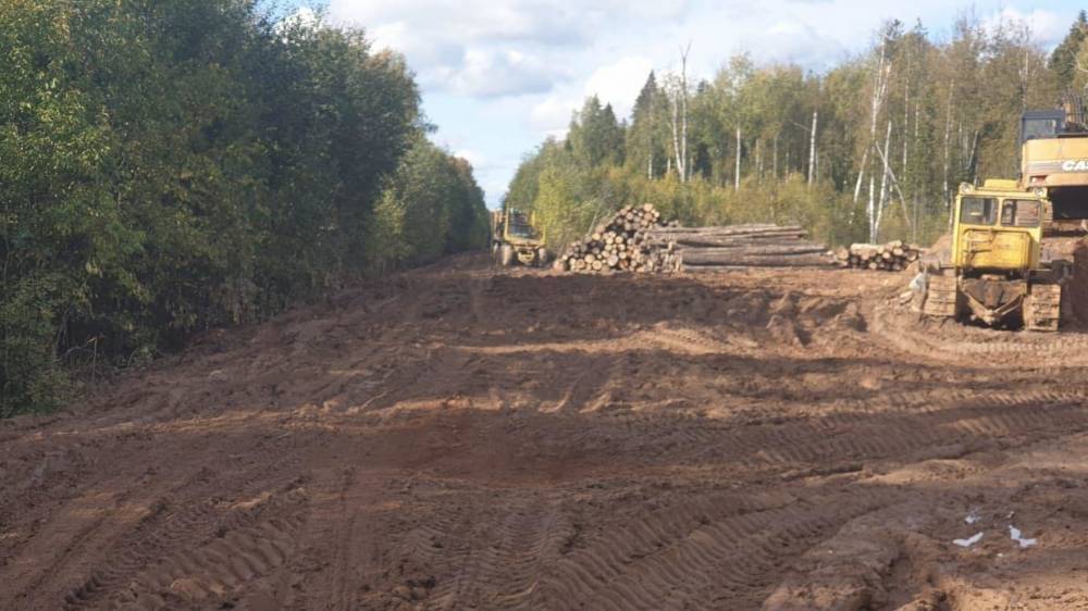 Псковских лесорубов оштрафовали за незаконную вырубку