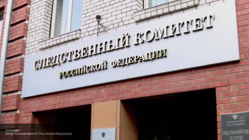Следком предъявил обвинение в нападении на росгвардейца участнику акции 27 июля Емельянову