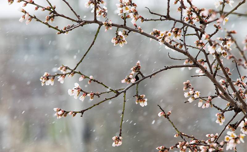 Дожди обратятся в снег: прогноз погоды от Гисметео на месяц