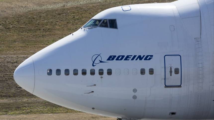Видео: Boeing пропустил лису, прогуливающуюся по взлетной полосе «Шереметьево»