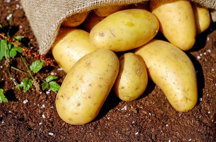 Хитрости идеального картофельного пюре