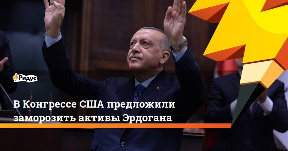 В Конгрессе США предложили заморозить активы Эрдогана - ridus.ru - США - Сирия - Турция