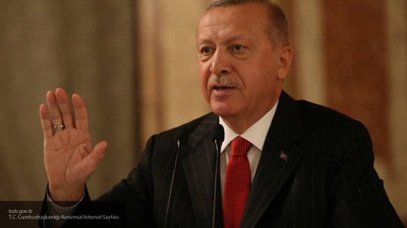 Эрдоган рассказал о ходе операции Турции в Сирии против курдов-террористов