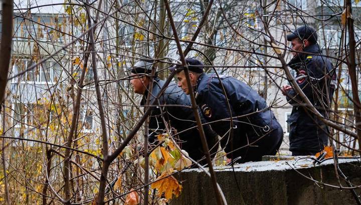 Полиция Чебоксар несколько часов преследовала заблудившегося медведя. Видео
