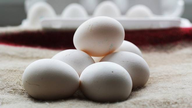 Аналитики Sberbank CIB сообщили, что граждане РФ едят очень много яиц