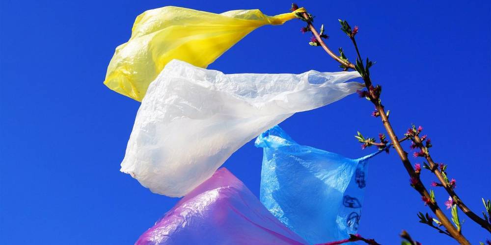 Роспотребнадзор планирует запретить пластиковые пакеты