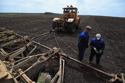 В российском регионе создали центр поддержки предпринимателей-фермеров