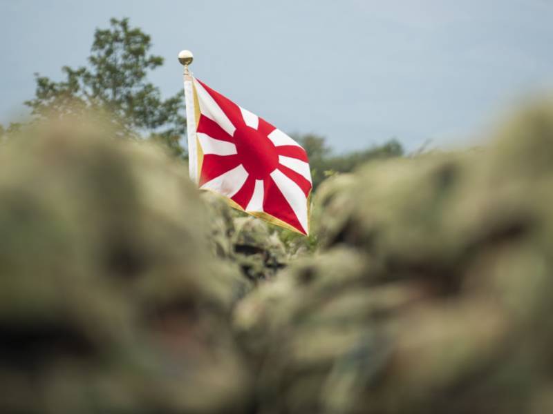 Японские войска направятся в Ормузский пролив на индивидуальной основе