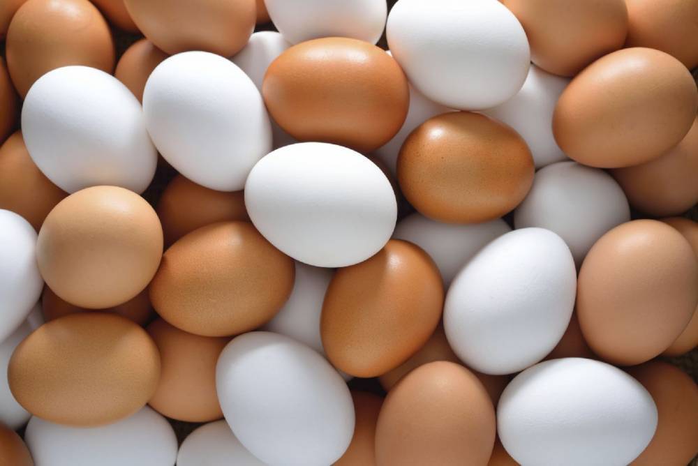 Аналитики указали россиянам на чрезмерное потребление яиц