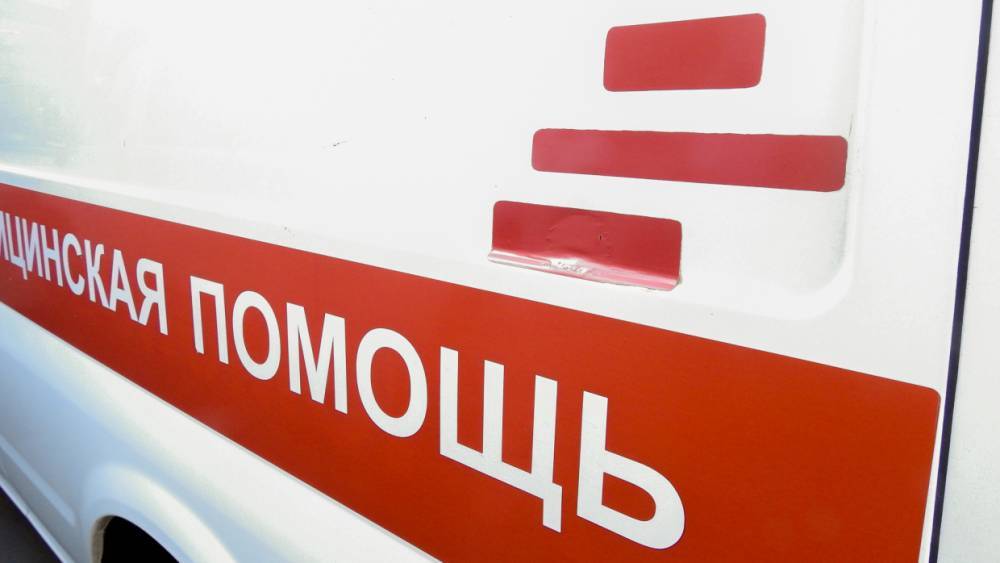 Водителя и пассажира легковушки после ДТП с фурой в Чудовском районе увезли в больницу