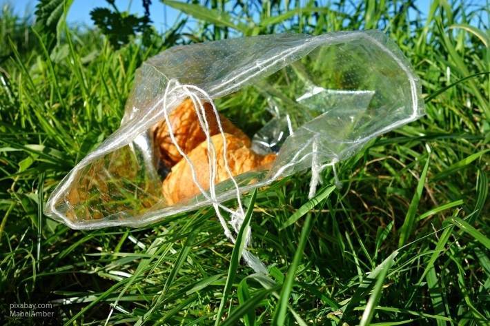 Пластиковые пакеты могут попасть под запрет на территории России