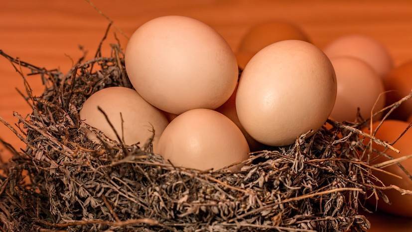 В Минздраве оценили данные о чрезмерном потреблении россиянами яиц