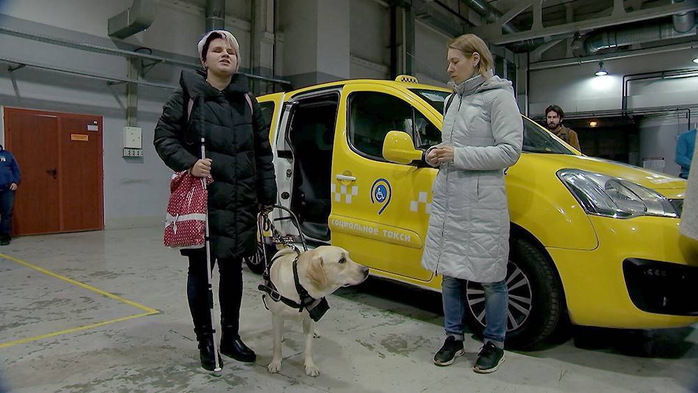 В Москве водителей социального такси учат общаться с собаками