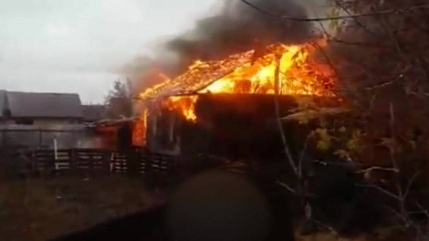 Отважная женщина спасла троих малышей из горящего дома в Новосибирске