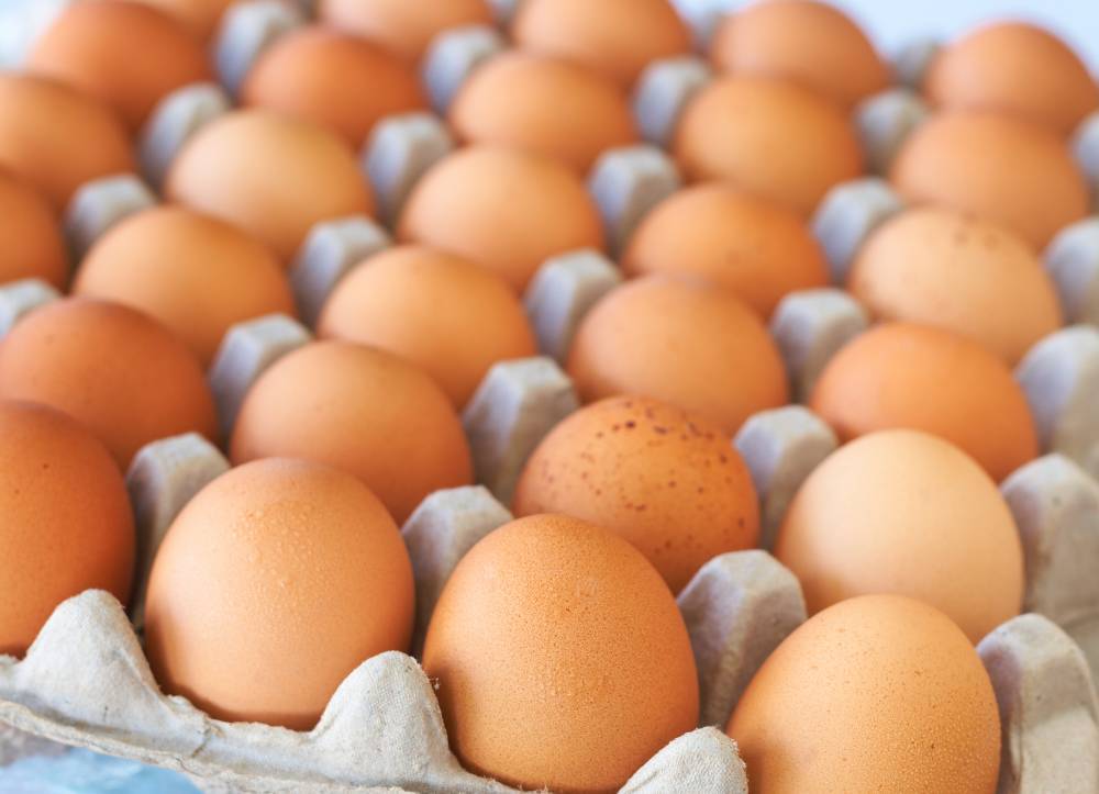 Эксперт не согласилась с отчетом о чрезмерном потреблении яиц в РФ